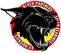 Black Panthers