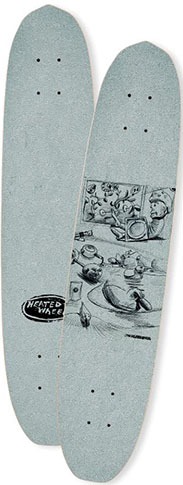 THE HEATED WHEEL POLARIZER LAZY DAYS DECK 6.00 X 27.50