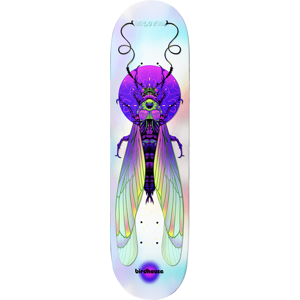 BIRDHOUSE DAVID LOY ILHAM INSECTS DECK 8.50