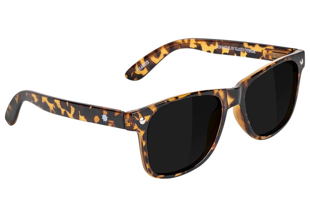 GLASSY LEONARD TORTOISE POLARIZED SUNGLASSES