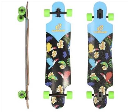 LAYBACK TROPIC DROP THROUGH LONGBOARD COMPLETE 9.50 X 40.00