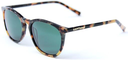 HAPPY HOUR FLAP JACK TORTOISE PREMIUM SUNGLASSES