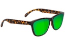 GLASSY DERIC TORTOISE/GREEN MIRROR POLARIZED SUNGLASSES