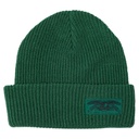 ANTI-HERO STOCK EAGLE LABEL CUFF BEANIE GREEN