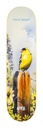 APRIL RONNIE KESSNER GOLD FINCH DECK 8.25